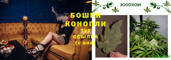 стаф Волосово