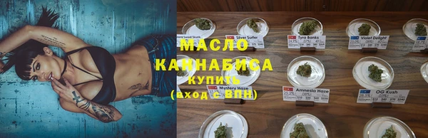 индика Ладушкин