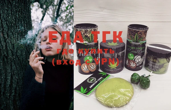 индика Ладушкин